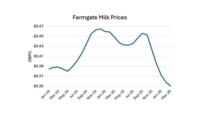 Dairy Market June 26 3