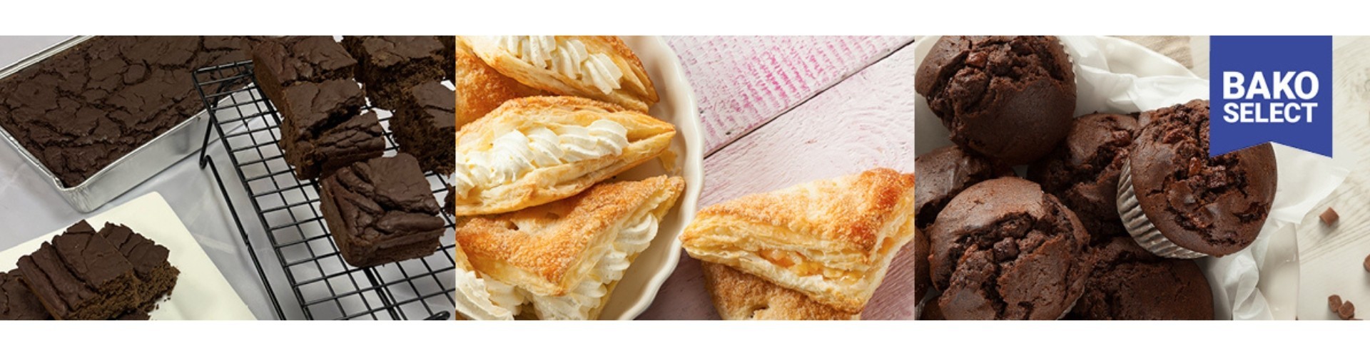 BAKO Select Jan26 LP Banner D