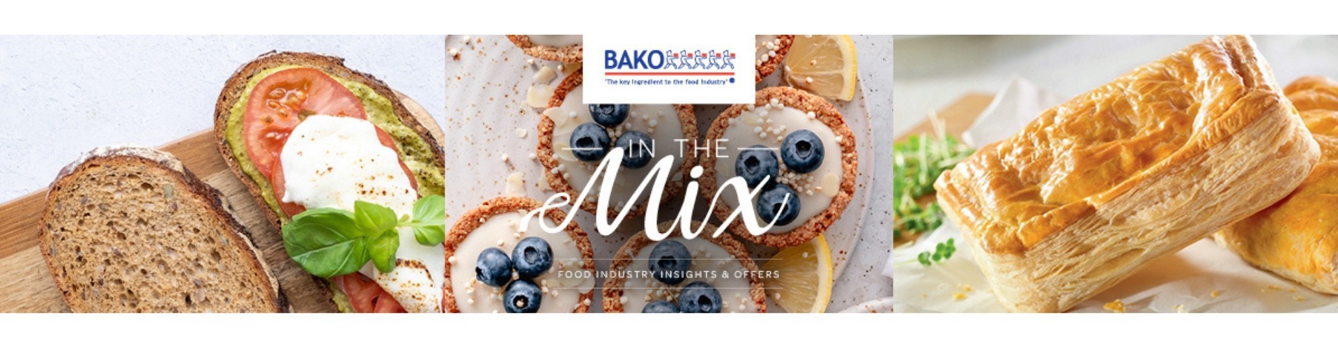 ITM Jan26 LP Banner D