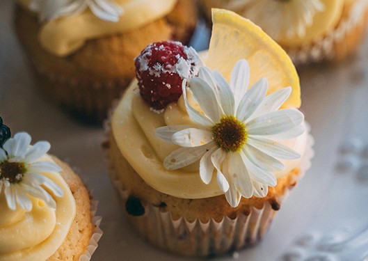 decorated cup cakes